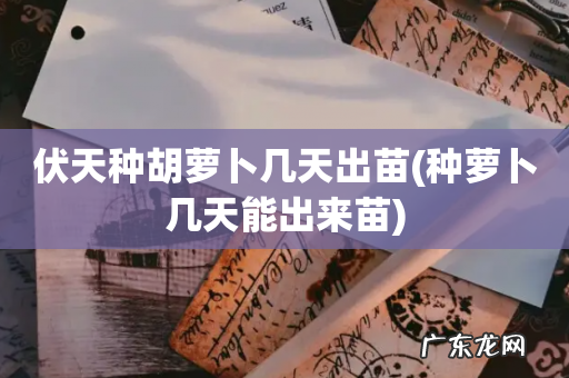 种萝卜几天能出来苗 伏天种胡萝卜几天出苗