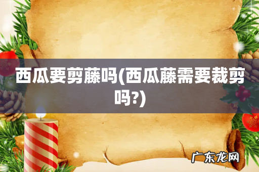 西瓜藤需要裁剪吗? 西瓜要剪藤吗