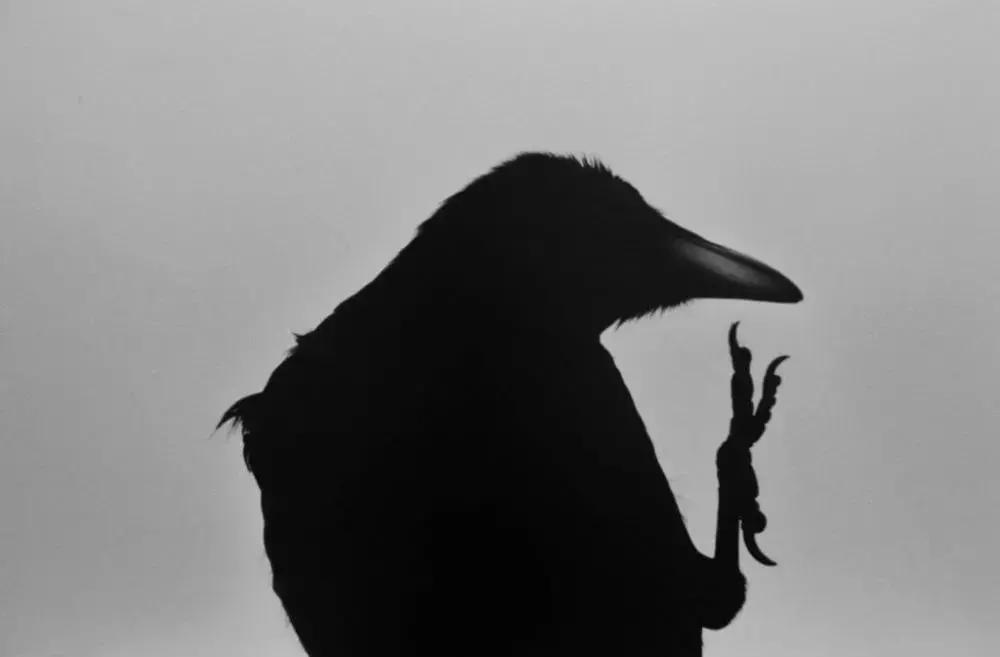 fabricating fabricado en