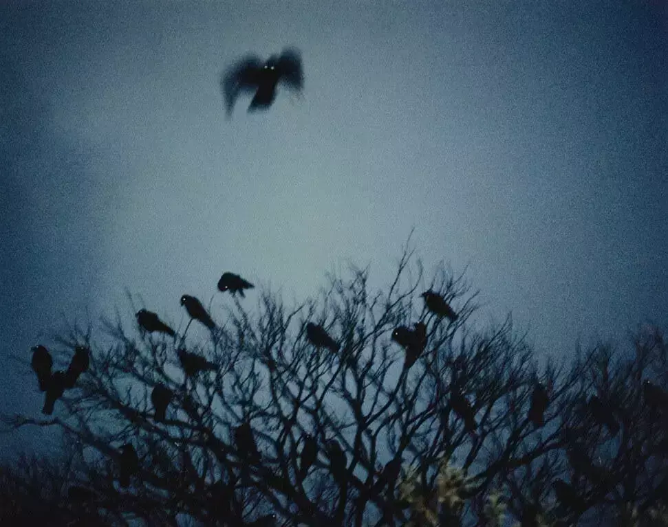 fabricating fabricado en