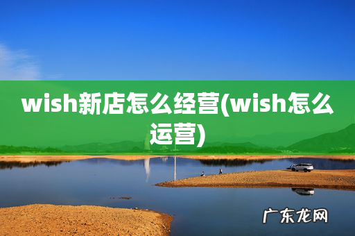 wish怎么运营 wish新店怎么经营