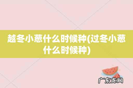 过冬小葱什么时候种 越冬小葱什么时候种