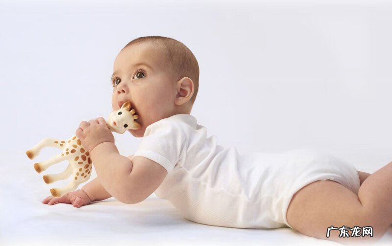 感统是什么意思