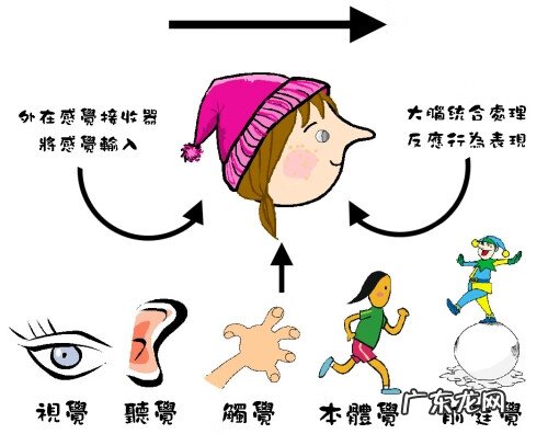 感统是什么意思