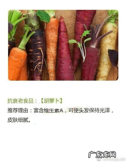 什么是碱性食物大全 碱性食物有哪些百度