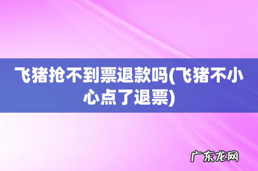 飞猪不小心点了退票 飞猪抢不到票退款吗