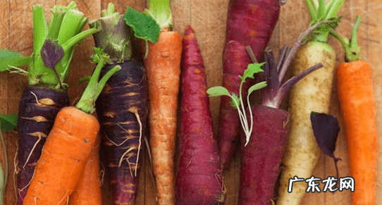 抗衰老吃什么食物 抗衰老的食物都有哪些