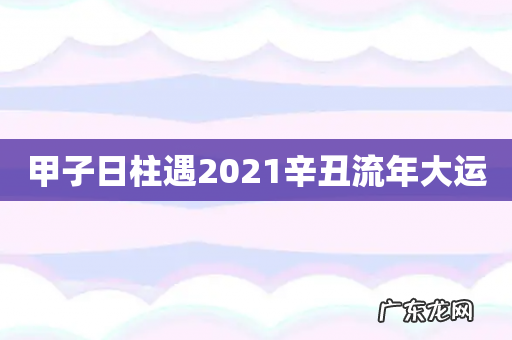 甲子日柱遇2021辛丑流年大运