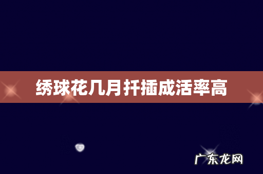 绣球花几月扦插成活率高