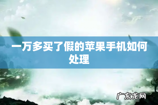 一万多买了假的苹果手机如何处理