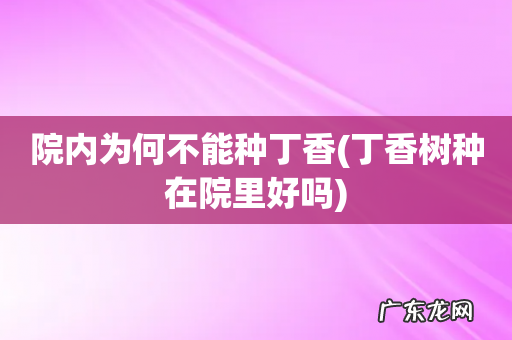 丁香树种在院里好吗 院内为何不能种丁香