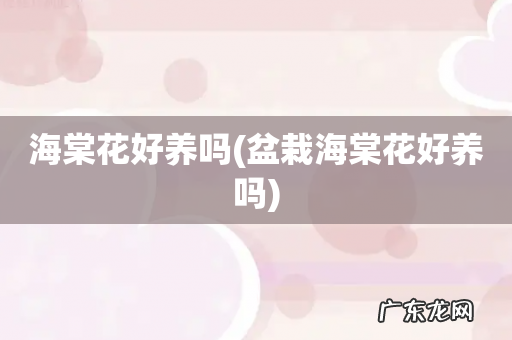 盆栽海棠花好养吗 海棠花好养吗