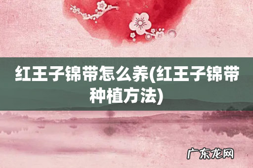 红王子锦带种植方法 红王子锦带怎么养