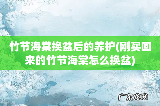 刚买回来的竹节海棠怎么换盆 竹节海棠换盆后的养护