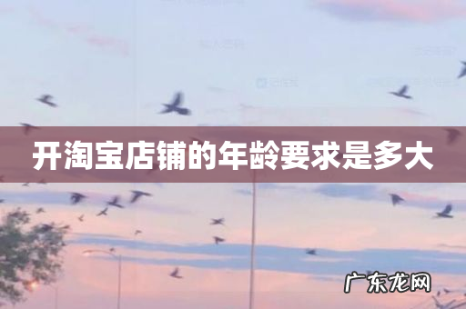 开淘宝店铺的年龄要求是多大