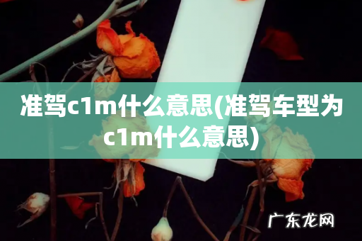 准驾车型为c1m什么意思 准驾c1m什么意思