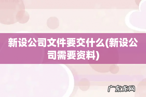 新设公司需要资料 新设公司文件要交什么