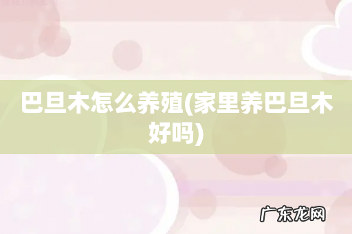 家里养巴旦木好吗 巴旦木怎么养殖