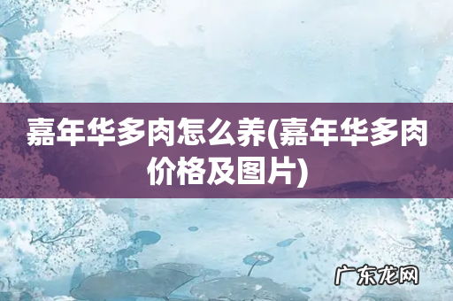 嘉年华多肉价格及图片 嘉年华多肉怎么养