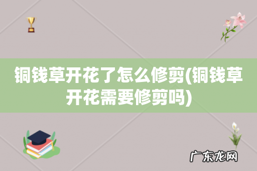 铜钱草开花需要修剪吗 铜钱草开花了怎么修剪