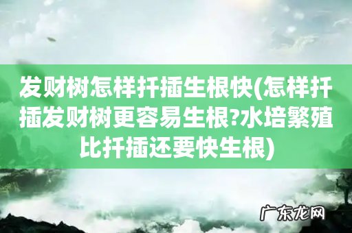 怎样扦插发财树更容易生根?水培繁殖比扦插还要快生根 发财树怎样扦插生根快