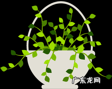 老人怎么留遗产 老人生前给的房子算遗产吗