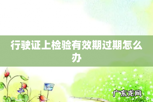 行驶证上检验有效期过期怎么办