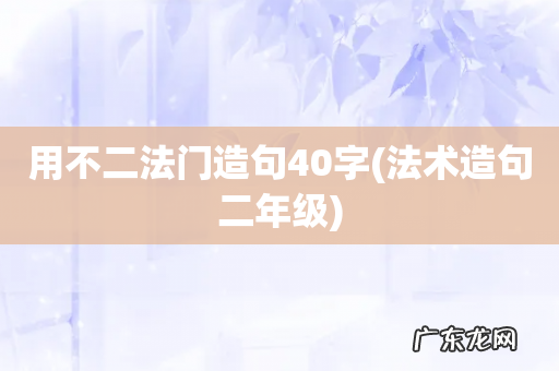法术造句二年级 用不二法门造句40字