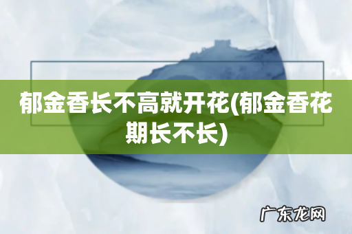 郁金香花期长不长 郁金香长不高就开花