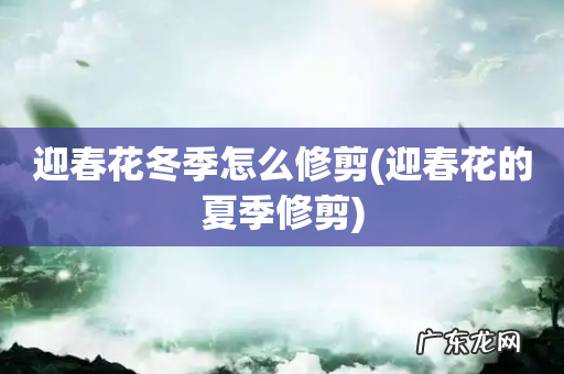 迎春花的夏季修剪 迎春花冬季怎么修剪