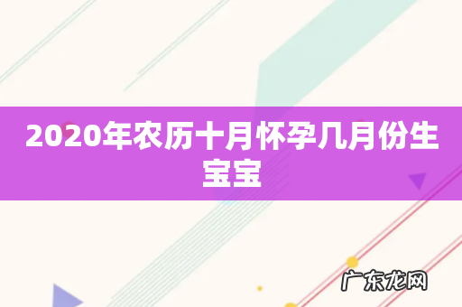 2020年农历十月怀孕几月份生宝宝