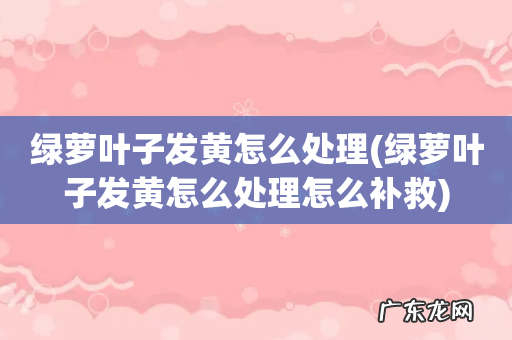 绿萝叶子发黄怎么处理怎么补救 绿萝叶子发黄怎么处理