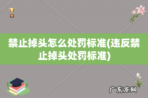 违反禁止掉头处罚标准 禁止掉头怎么处罚标准
