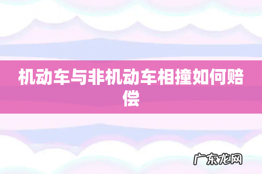 机动车与非机动车相撞如何赔偿