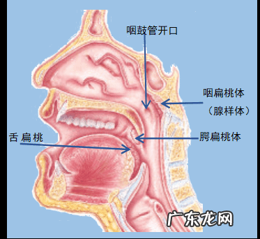小孩扁桃体发炎原因 小儿扁桃体发炎是怎么引起的