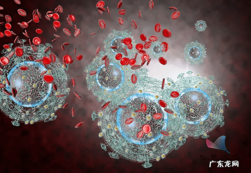 艾滋病四大传播途径 艾滋病的传播途径有哪些