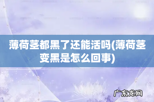 薄荷茎变黑是怎么回事 薄荷茎都黑了还能活吗