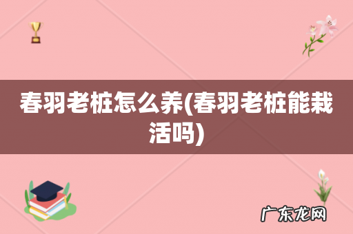 春羽老桩能栽活吗 春羽老桩怎么养