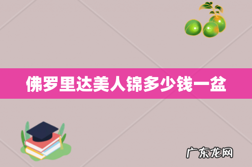 佛罗里达美人锦多少钱一盆