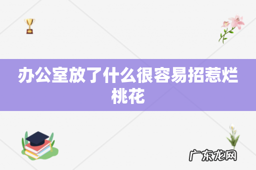 办公室放了什么很容易招惹烂桃花