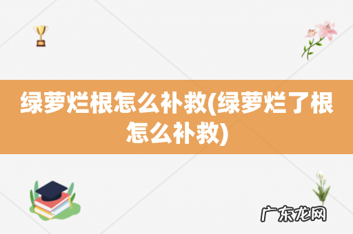 绿萝烂了根怎么补救 绿萝烂根怎么补救