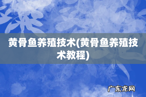 黄骨鱼养殖技术教程 黄骨鱼养殖技术