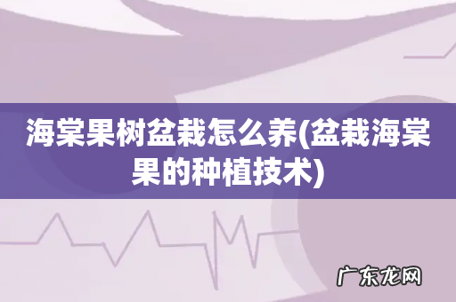 盆栽海棠果的种植技术 海棠果树盆栽怎么养