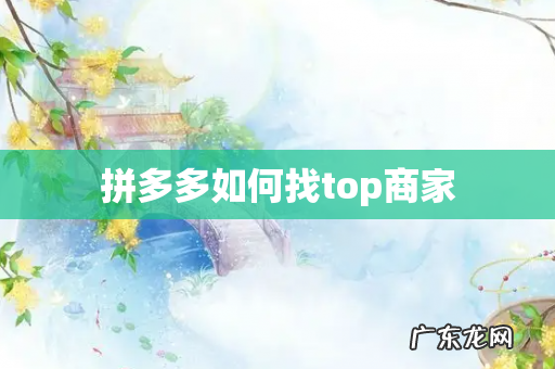 拼多多如何找top商家