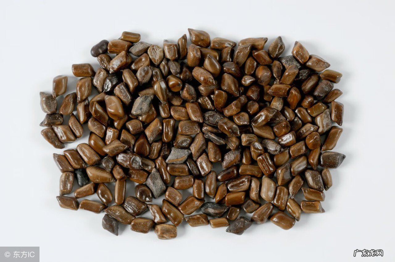 决明子的功效有哪些 决明子的功效与作用