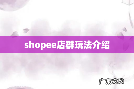 shopee店群玩法介绍
