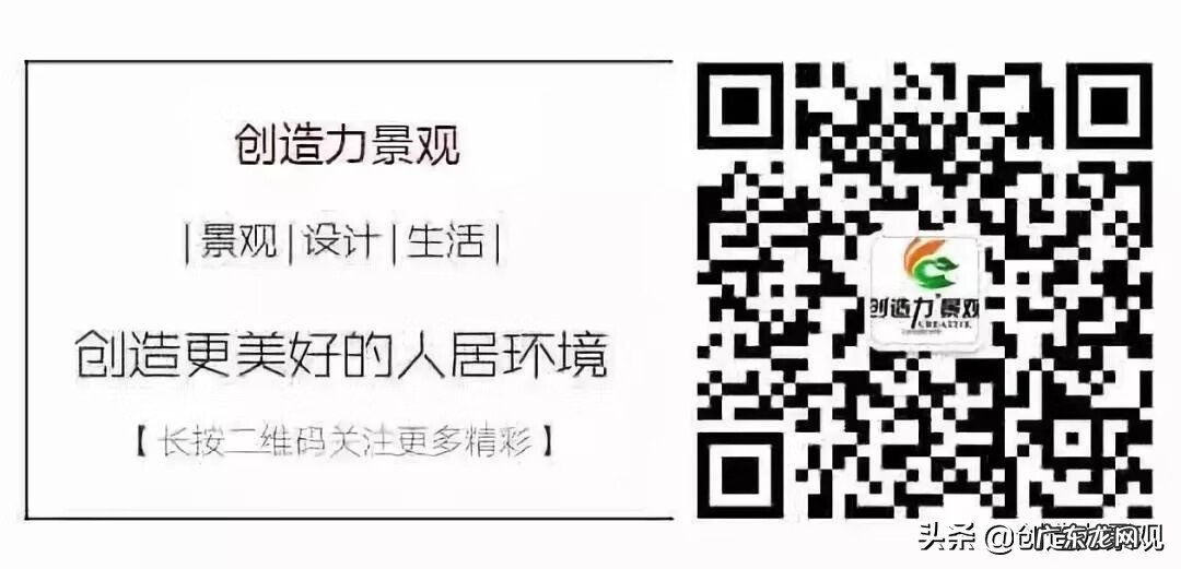 树根入屋风水 院子里树根影响风水吗?