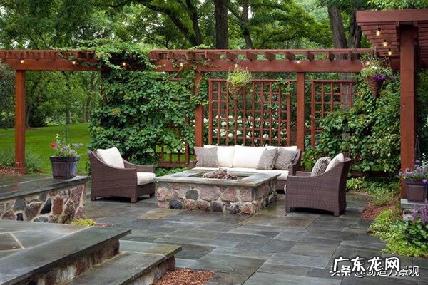 树根入屋风水 院子里树根影响风水吗?