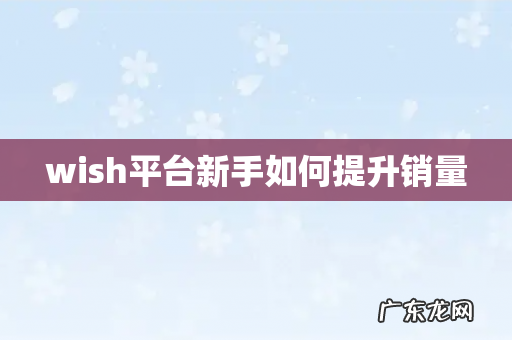 wish平台新手如何提升销量