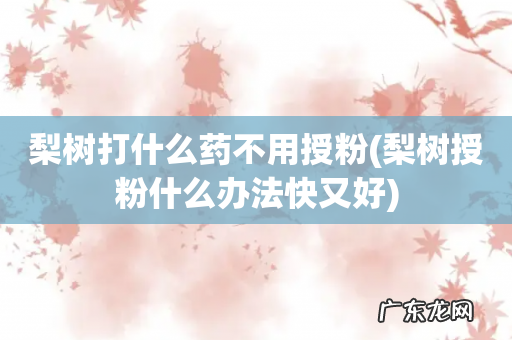 梨树授粉什么办法快又好 梨树打什么药不用授粉